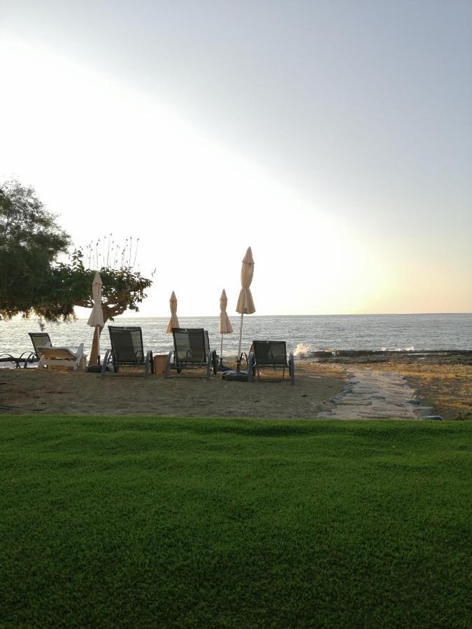 Wooden Apartment , Agia Marina Chrysochous Kato Yialia ภายนอก รูปภาพ